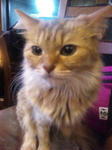 2011102312.JPG
