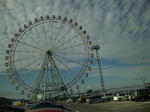 2011110113.JPG