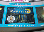 2011111102.JPG
