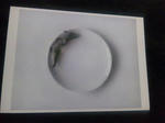 2011111805.jpg