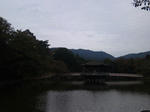 2011111807.JPG