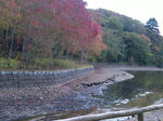 2011112003.JPG