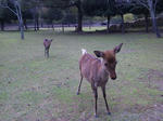 2011112004.JPG