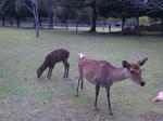 2011112005.JPG