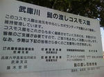 2011120701.jpg