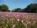 2011120704.JPG