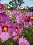 2011120706.JPG