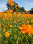 2011120707.jpg