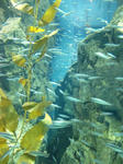 2011121803.JPG