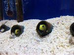 2011121804.JPG