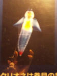 2011121806.JPG