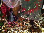 2012060705.JPG