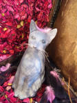 2012060706.JPG