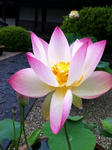 2012072001.jpg