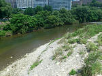 rps20120803_193606_441.jpg