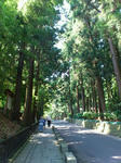 rps20120803_193730_463.jpg
