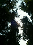 rps20120803_193805_568.jpg