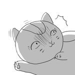 nyannko1.jpg