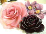 DSCF0168.JPG
