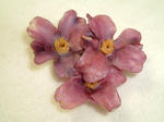 DSCF0165.JPG
