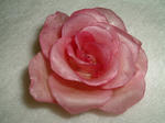 DSCF0161.JPG
