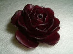 DSCF0160.JPG