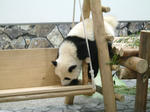 DSCF0007.JPG