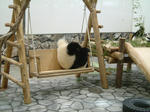 DSCF0010.JPG