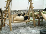 DSCF0011.JPG