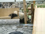 DSCF0013.JPG
