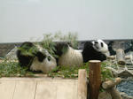 DSCF0018.JPG