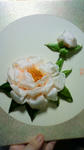 NEC_0013.JPG