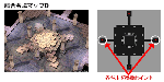 3d5e3d96.gif