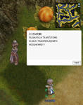 a1244253.jpeg