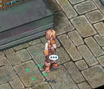 971a2704.jpeg