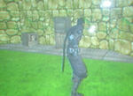 karasu4b