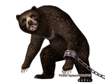kuma