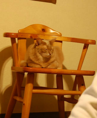 cdacd6bb.jpg
