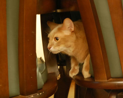 DSC_0088.jpg