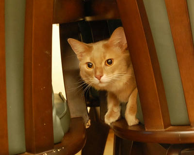 DSC_0092.jpg