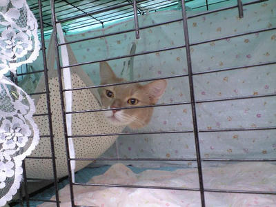 CA390284.JPG