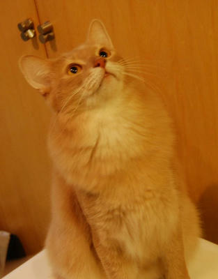 DSC_0045.jpg