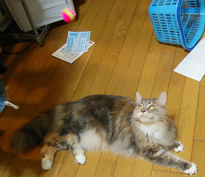 DSC_0594.jpg