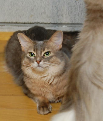 DSC_0625.jpg