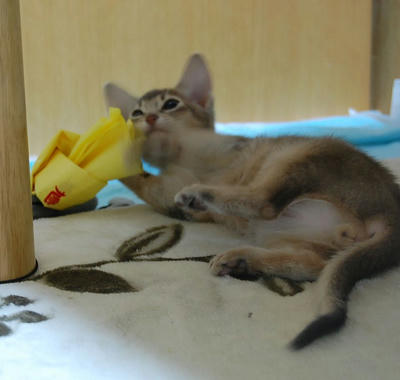 DSC_0333.jpg