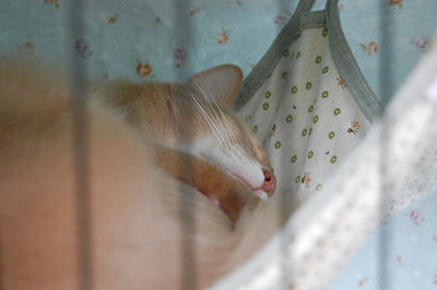 DSC_0011.jpg
