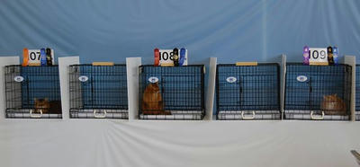 362283b0.jpg