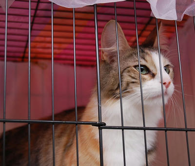 DSC_0940.jpg