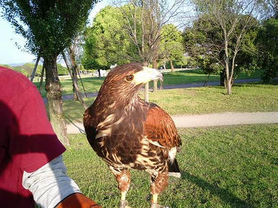 CA320040.JPG