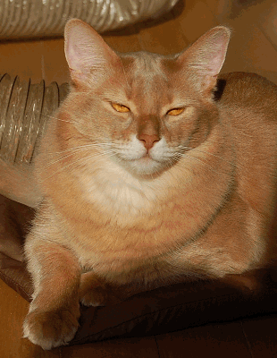 DSC_0178.gif